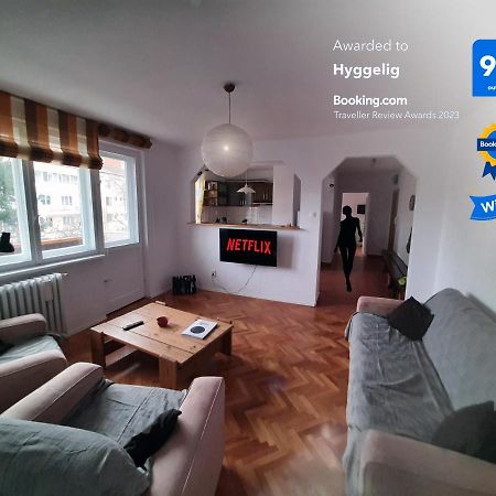 Hyggelig Apartment Oradea Bagian luar foto
